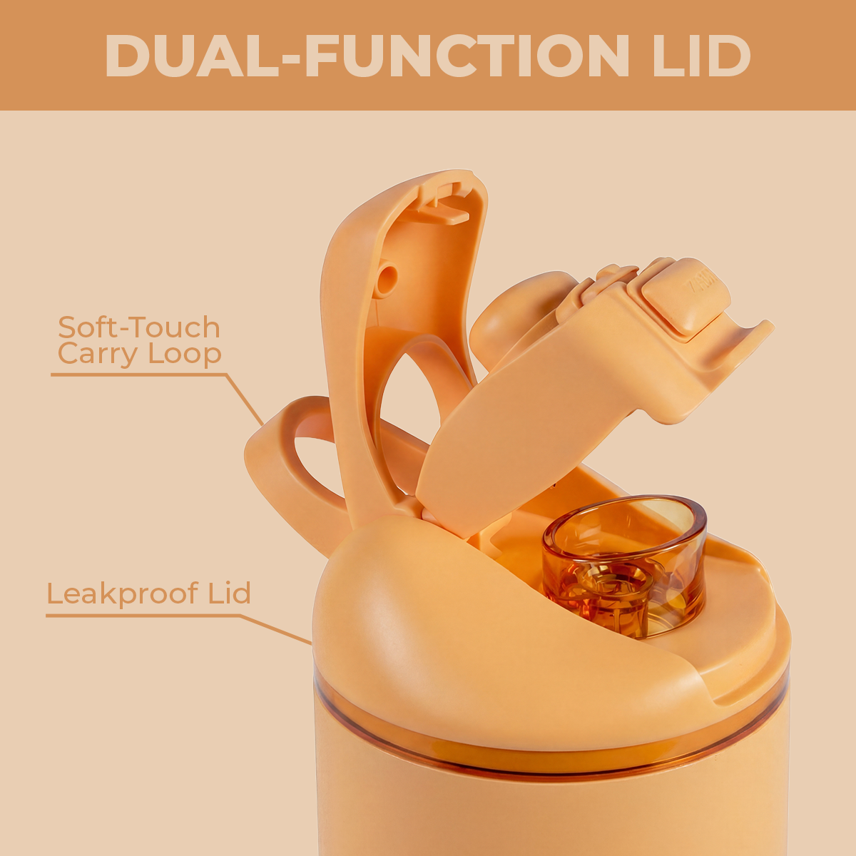 marigold-w6 Ease24-Marigold-WPI-6.png