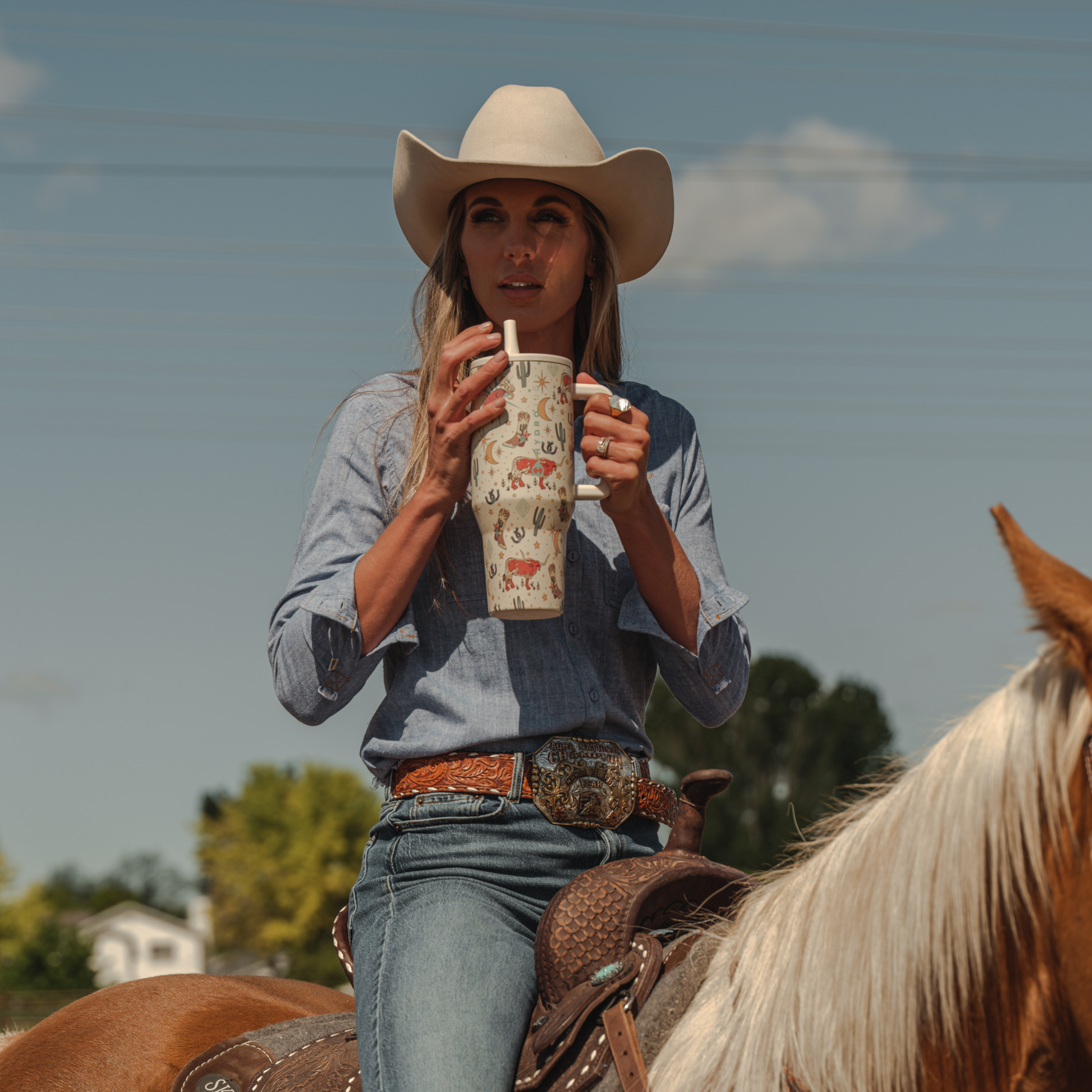 rodeo-p2 TRVL-Rodeo-6WPI.png